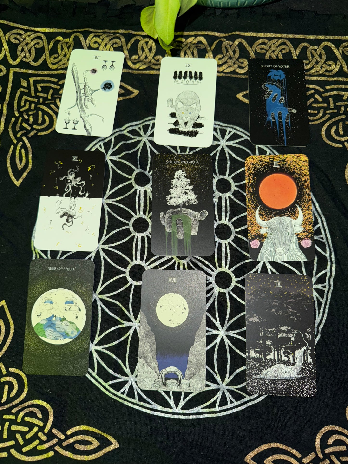 Sacred Web Tarot & Guidebook