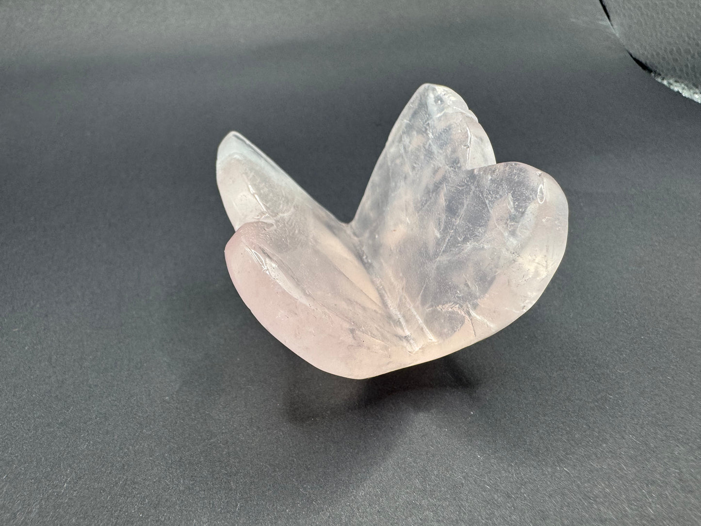 3D Butterfly