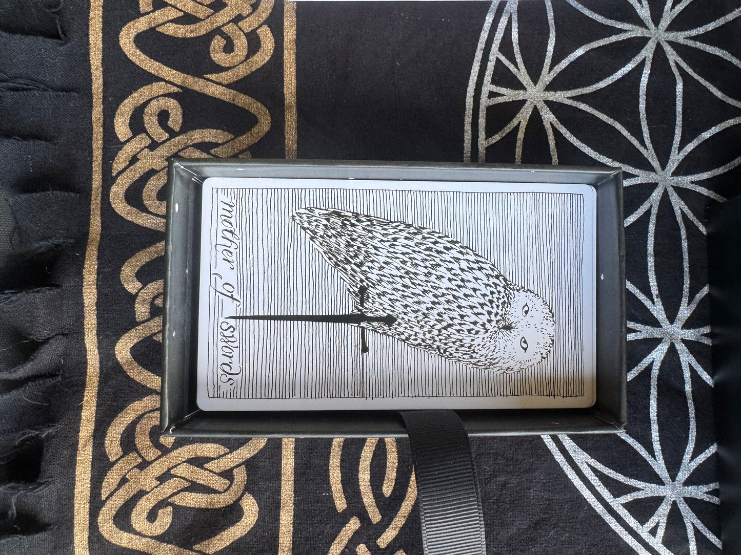 The Wild Unknown Tarot Deck & Guidebook