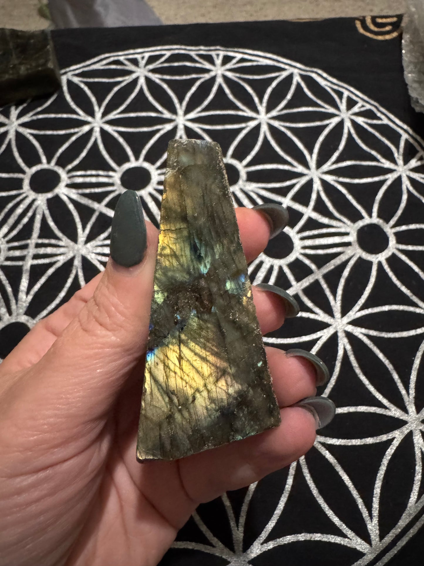Labradorite Semi-Polished Freeforms