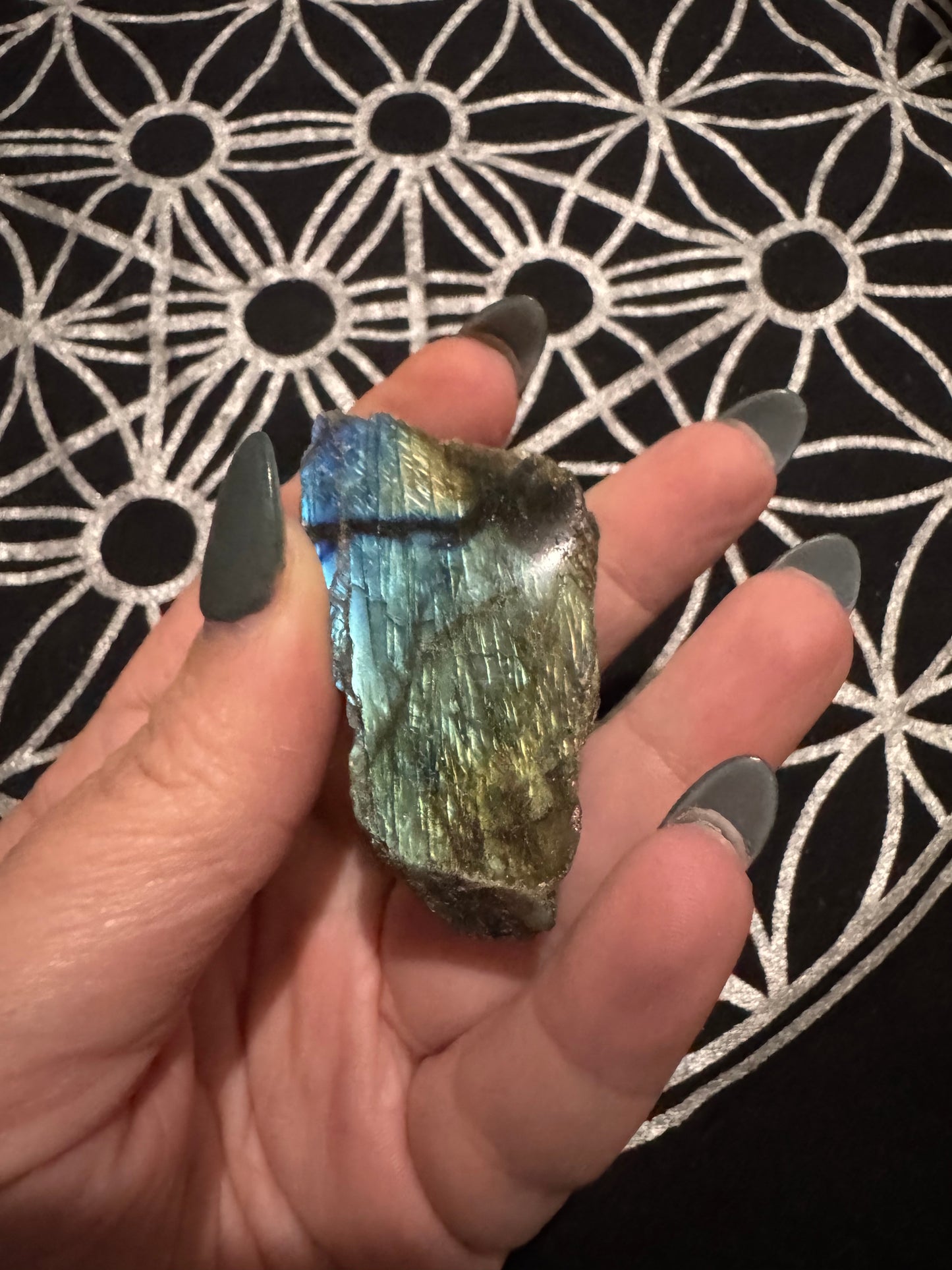 Labradorite Semi-Polished Freeforms