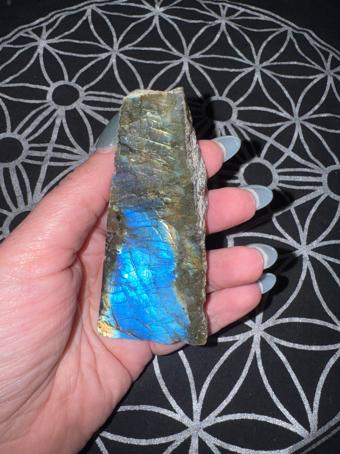 Labradorite Semi-Polished Freeforms