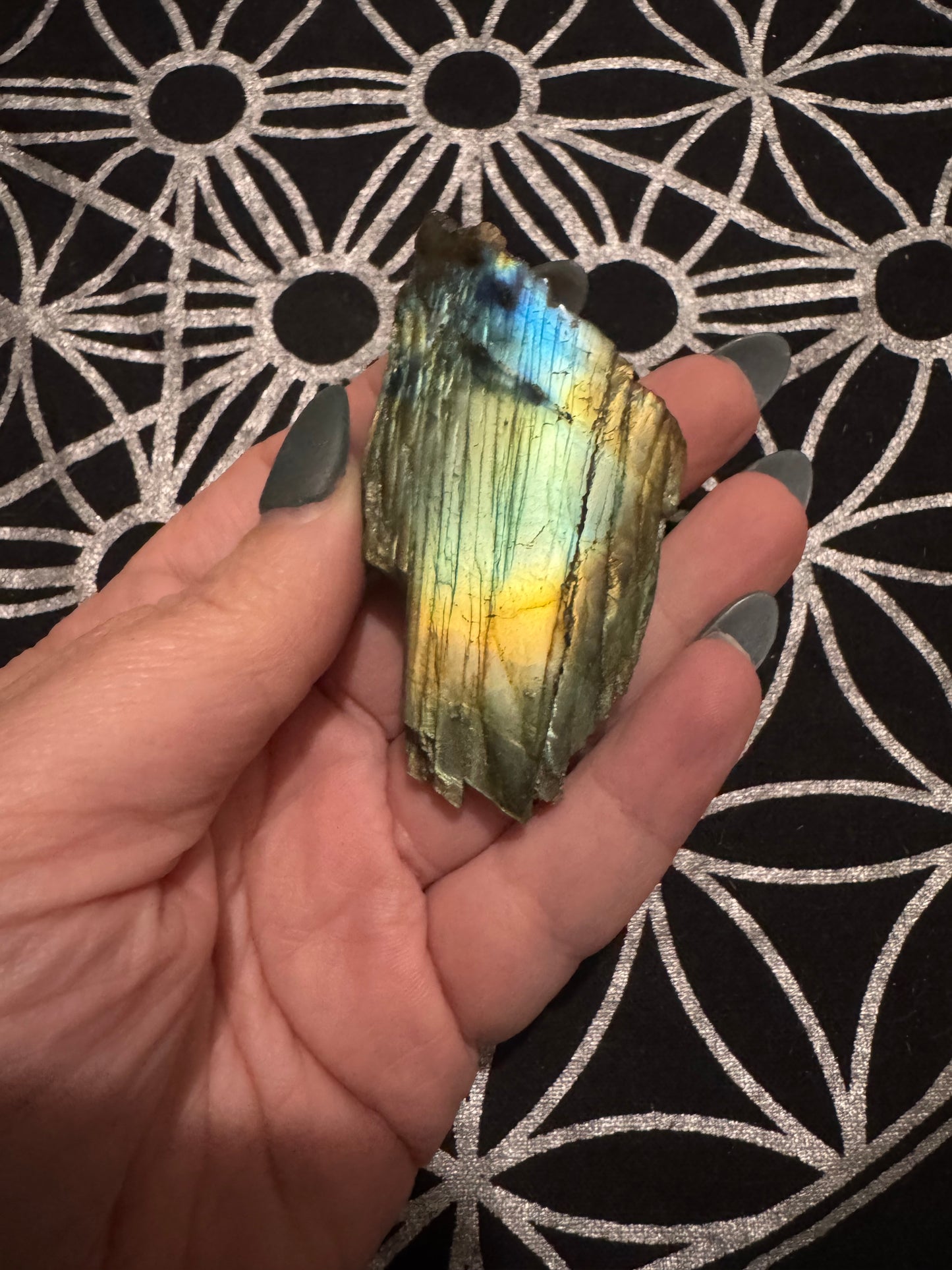 Labradorite Semi-Polished Freeforms