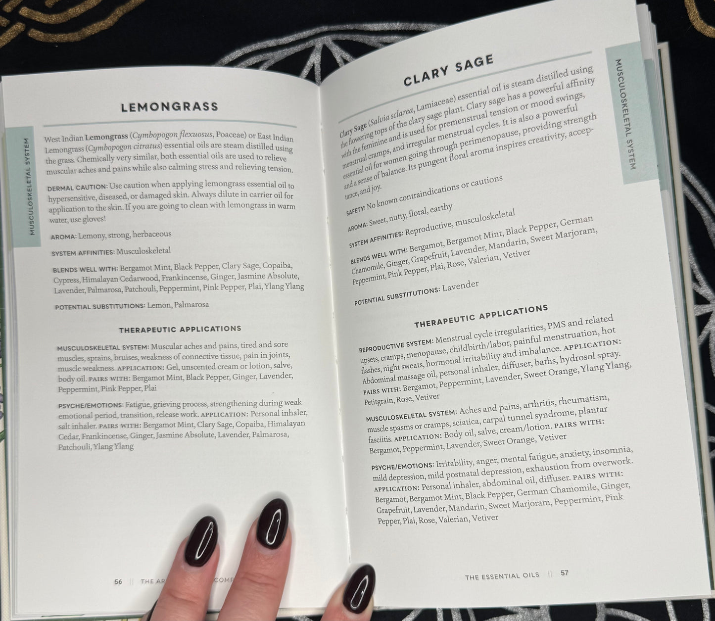 The Aromatherapy Companion