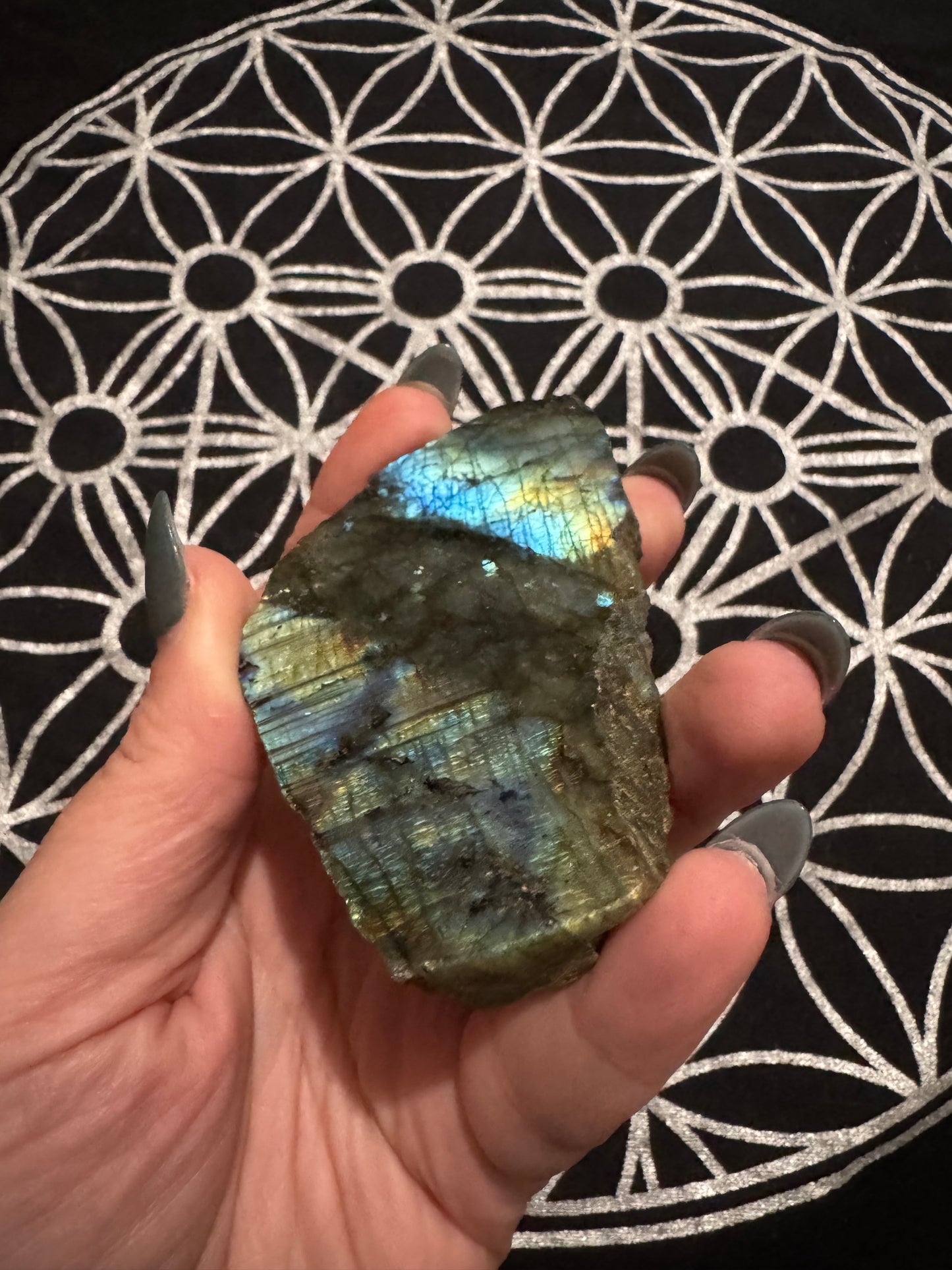 Labradorite Semi-Polished Freeforms
