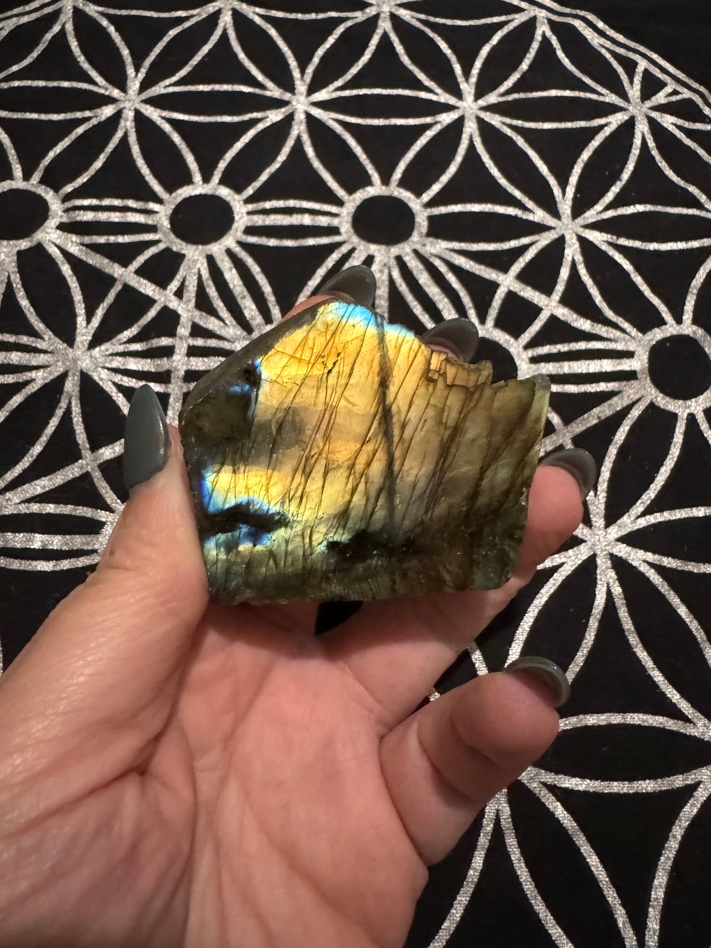 Labradorite Semi-Polished Freeforms