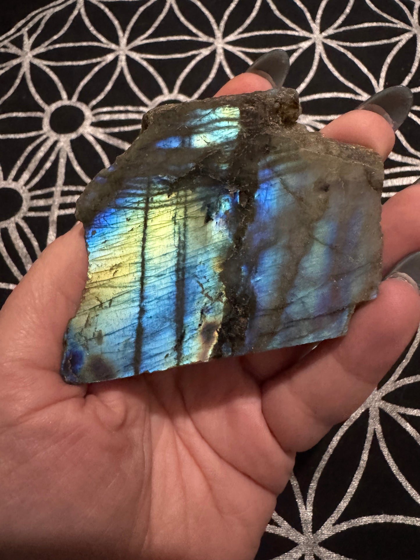 Labradorite Semi-Polished Freeforms