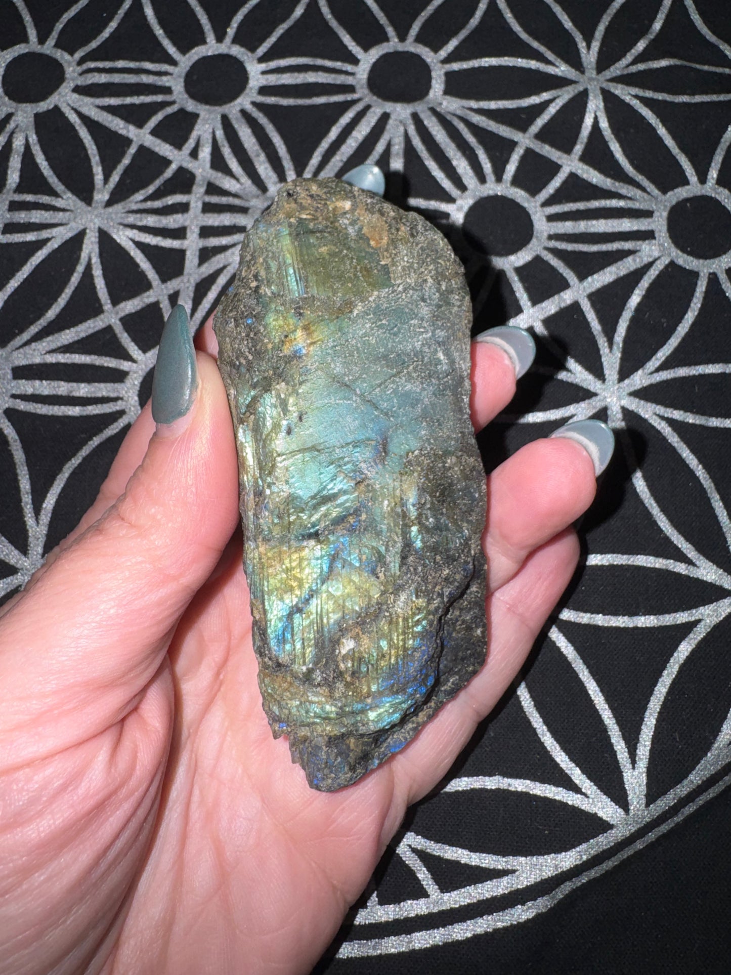 Labradorite Semi-Polished Freeforms