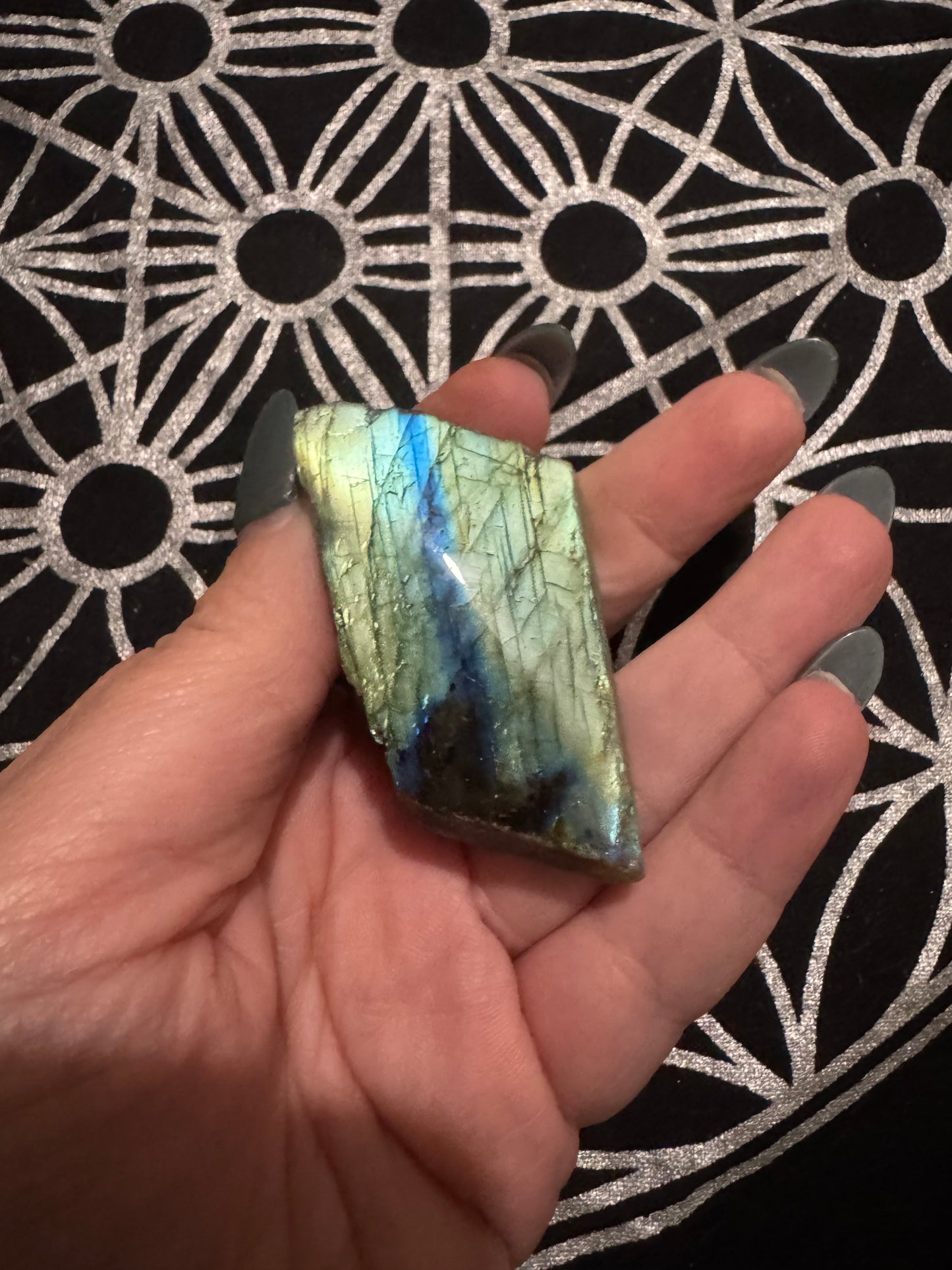 Labradorite Semi-Polished Freeforms