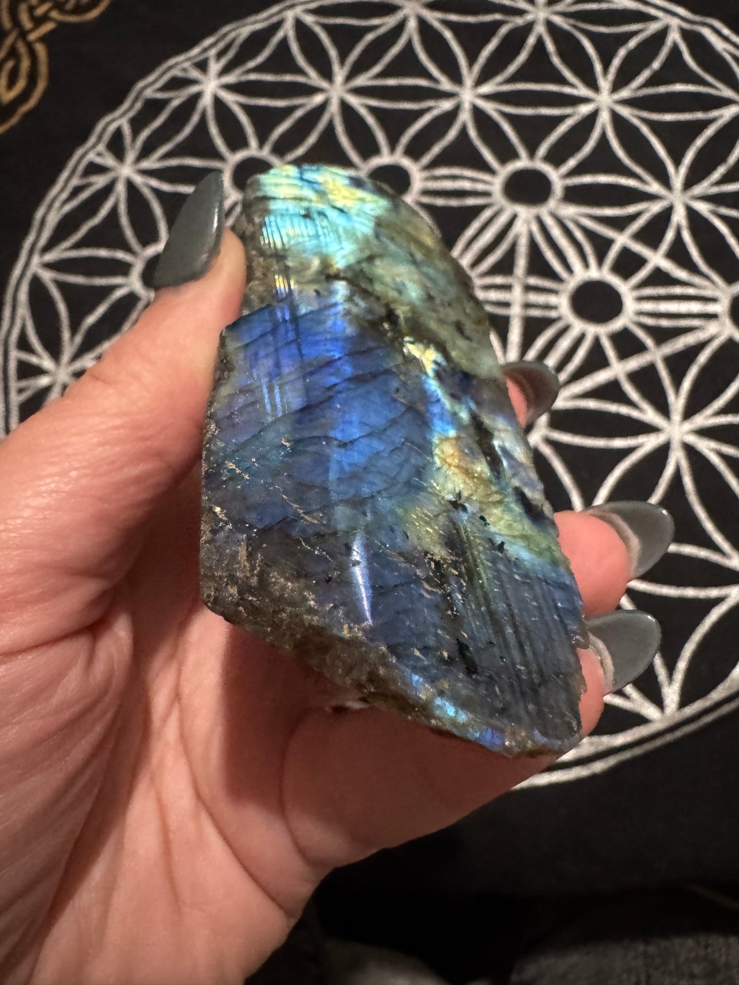 Labradorite Semi-Polished Freeforms
