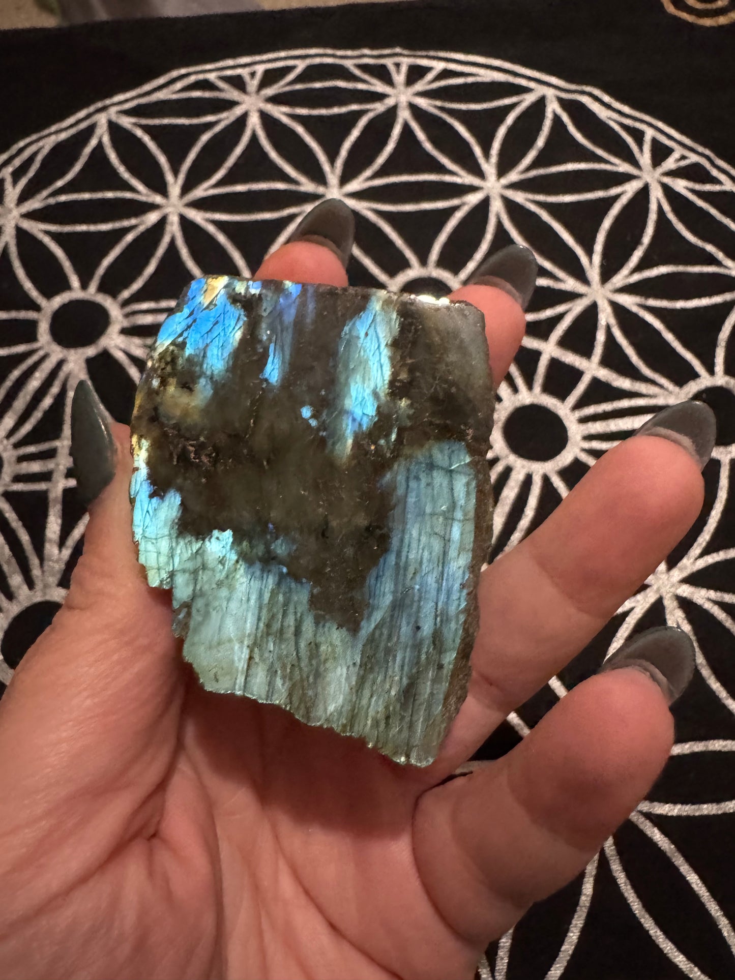 Labradorite Semi-Polished Freeforms