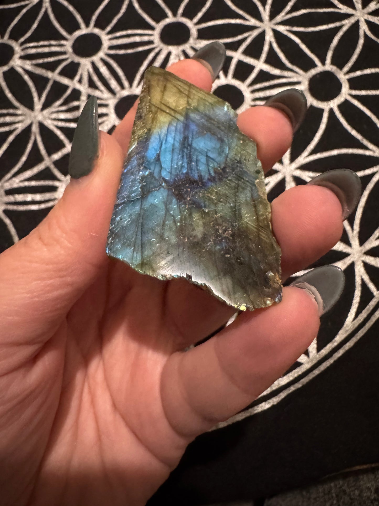 Labradorite Semi-Polished Freeforms