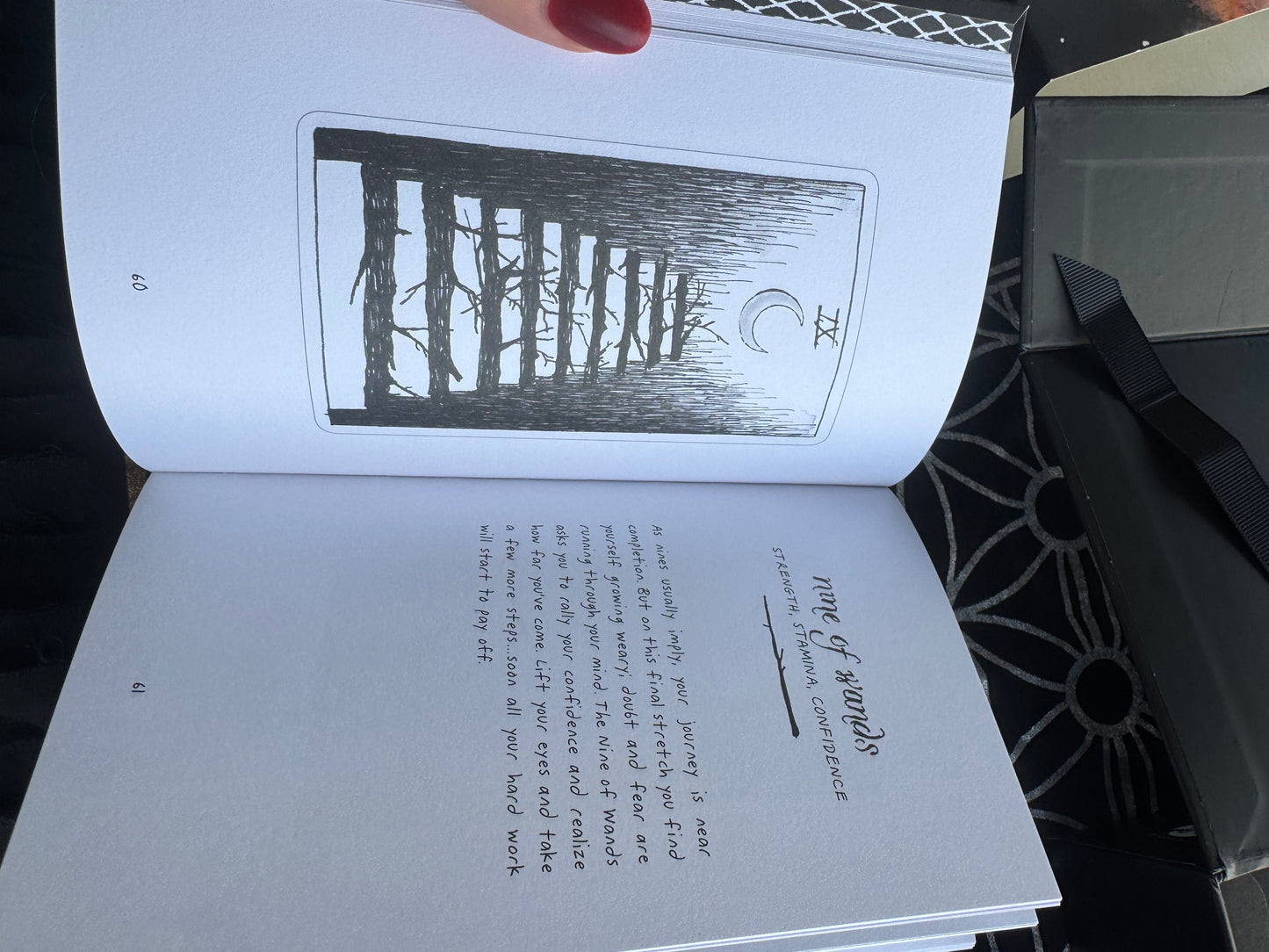 The Wild Unknown Tarot Deck & Guidebook