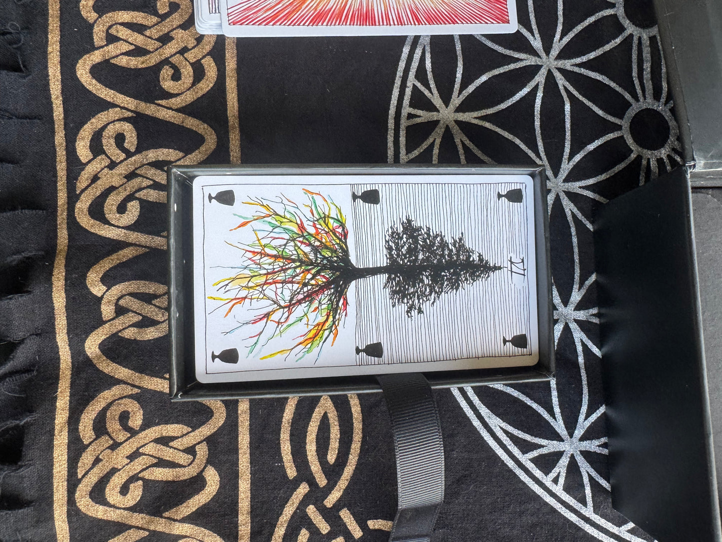 The Wild Unknown Tarot Deck & Guidebook